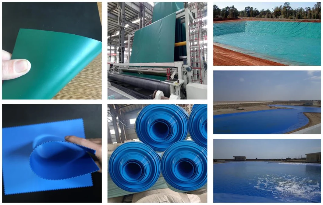 Stagno meccanico della diga di forza di Geomembrane dell'HDPE del carro armato di pesce 2mm alto 2