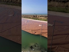 Metropolitana di filtrazione di disidratazione dei fanghi di C12.57 L50 200/200KN