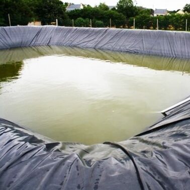 Liner di geomembrana HDPE durevole Liner di stagno per aziende agricole per l'allevamento sicuro di acquacoltura