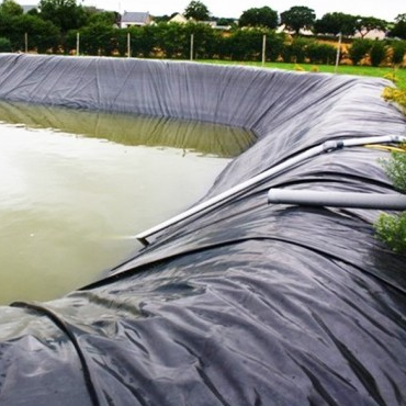 Foglio di rivestimento geomembrana impermeabile in HDPE con barriera antiradice per l'isolamento di giardini pensili commerciali