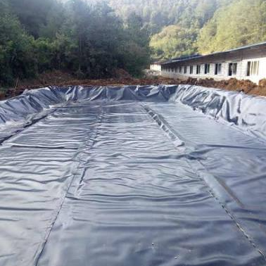 Rivestimento spesso in geomembrana in HDPE per discarica per cella di contenimento dei rifiuti urbani