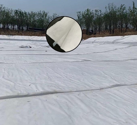 Non isolamento composito della costruzione del tunnel di traffico di Geomembrane del tessuto