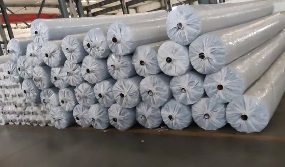 Geotessuto in polipropilene poliestere intrecciato con resistenza alla trazione 50KNm 1200KNm progettato per il rinforzo del suolo per impieghi gravosi e il controllo dell'erosione