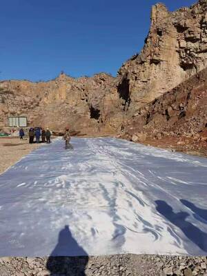 5.2m larghezza tessuto geotessile offrendo resistenza alla trazione da 50KNm a 1200KNm e CBR resistenza alla foratura 12KN o più applicato in rinforzo di pendenza