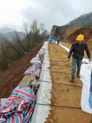 100-100kn Resistenza alla trazione Geotessile tessuto ideale per sistemi di drenaggio e rinforzo del suolo lunghezza da 50m a 100m