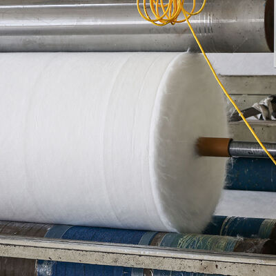 Geotessuto non tessuto in fibra di polipropilene ecologico per il controllo dell'erosione costiera