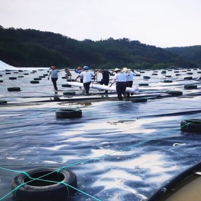 Liner di geomembrana in HDPE nero a bassa permeabilità per sistemi di contenimento secondari