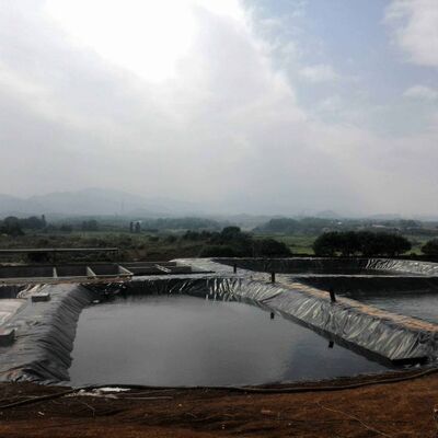 Liner di geomembrana HDPE durevole Liner di stagno per aziende agricole per l'allevamento sicuro di acquacoltura