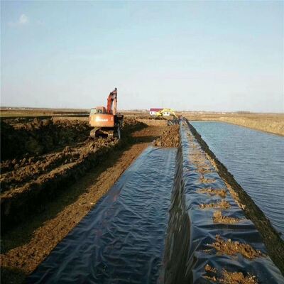 Liner di geomembrana in HDPE sicuro per pesci per serbatoi di irrigazione agricola in stagni