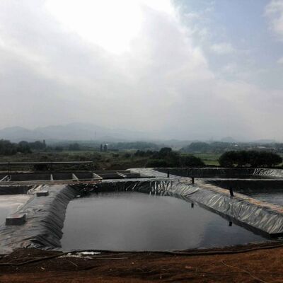 Liner di geomembrana in HDPE sicuro per pesci per serbatoi di irrigazione agricola in stagni