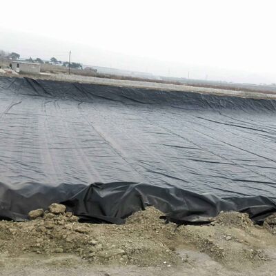 Acquacoltura commerciale di pesci e gamberetti