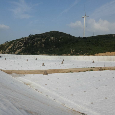 Tappetino di protezione geotessile non tessuto resistente alla perforazione in fibra corta per la difesa del pendio dell'argine del fiume