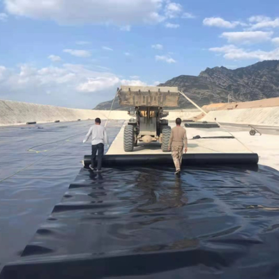 Foglio di rivestimento geomembrana impermeabile in HDPE con barriera antiradice per l'isolamento di giardini pensili commerciali