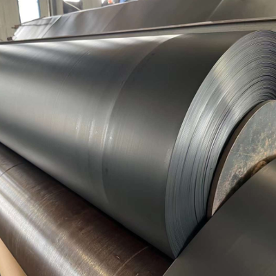 Foglio di rivestimento geomembrana impermeabile in HDPE con barriera antiradice per l'isolamento di giardini pensili commerciali