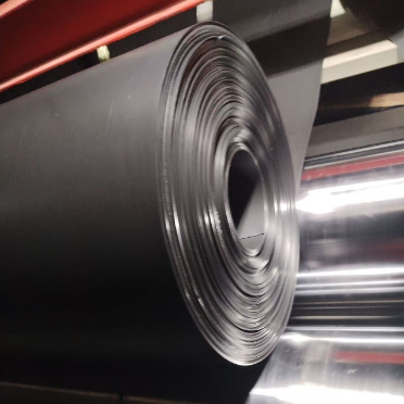 Foglio di rivestimento geomembrana impermeabile in HDPE con barriera antiradice per l'isolamento di giardini pensili commerciali