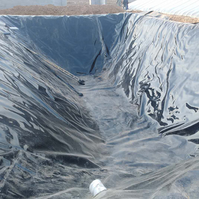 Rivestimento geomembrana in HDPE a tenuta di gas per la copertura del digestore di biogas agricolo