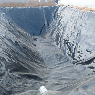 Rivestimento del canale di irrigazione Rivestimento in geomembrana HDPE per canali di tutela dell'acqua