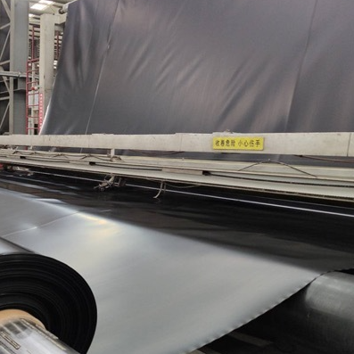 Rivestimento spesso in geomembrana in HDPE per discarica per cella di contenimento dei rifiuti urbani