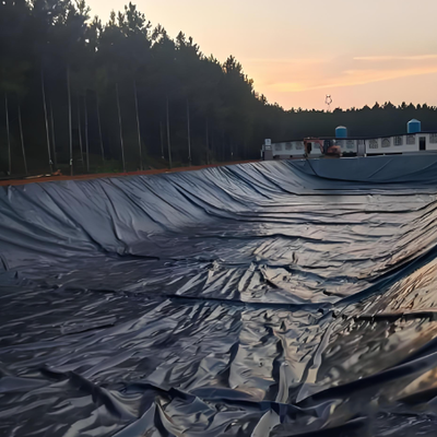 Rivestimento in geomembrana nera in HDPE per gamberetti d'acqua salata e stagni per pesci