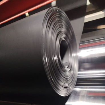Rivestimento in geomembrana nera in HDPE per gamberetti d'acqua salata e stagni per pesci