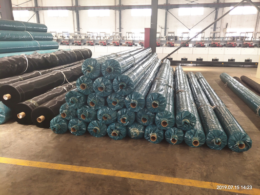 ad alta resistenza del tessuto 320gsm del geotessuto tessuto 150-50kn di rinforzo
