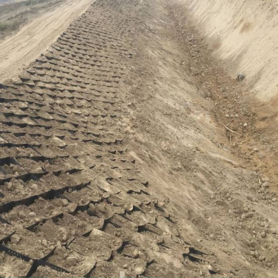 controllo dell'erosione di Geocell di protezione del pendio di 250mm per la costruzione di strade