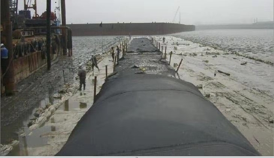 La disidratazione dei fanghi dell'acqua di scarico del poliestere insacca la protezione costiera