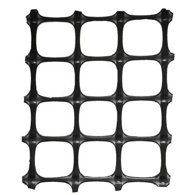 Argine basale Geogrid di plastica Mesh Soil Slope Reinforcement Polyester Geogrid