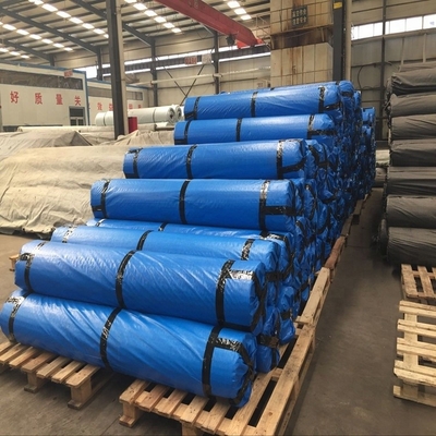 Stabilizzazione al suolo Mesh Fiberglass della pavimentazione nera del cemento