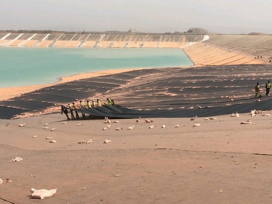materiale di riporto dell'impresa di piscicoltura del film ISO9001 del PVC Geomembrane di 1.5mm 2mm Plastik