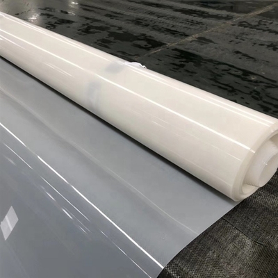 Piscina Geomembrane composito EVA Ecological Slope Protection