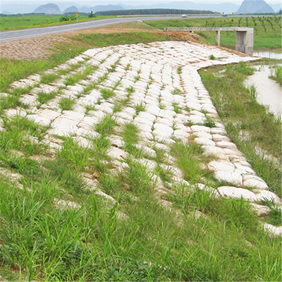Tessuto del polipropilene di Geobag del geotessuto di tutela dell'acqua ecologico