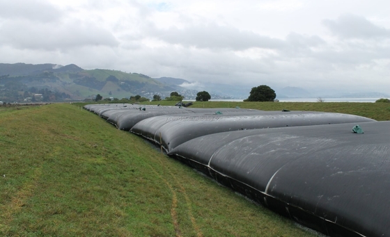 Tubo geotessile d'asciugamento Geobag PP PET Geotube per filtro da limo Filtro a sabbia Berm costiero