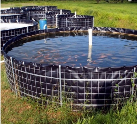 Spessore di superficie regolare 0.2~3mm della fodera del PVC Geomembrane per alimentazione del pesce del gamberetto